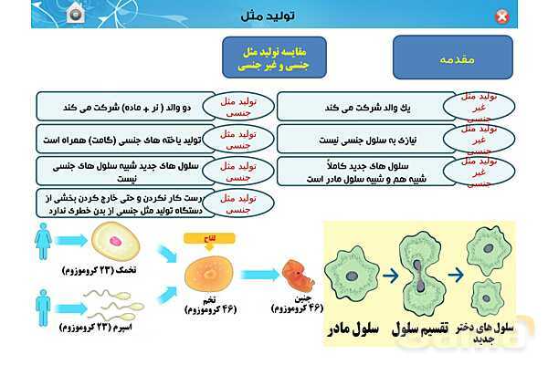 پاورپوینت تدریس زیست یازدهم | فصل 7: تولید مثل (گفتار 1 و 2) - پیش نمایش