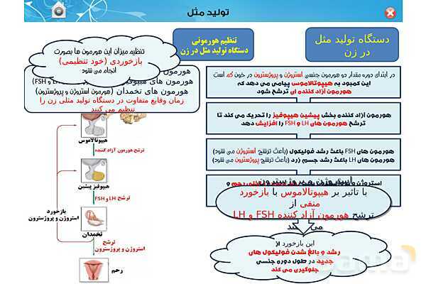 پاورپوینت تدریس زیست یازدهم | فصل 7: تولید مثل (گفتار 1 و 2) - پیش نمایش