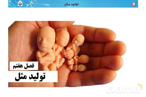 پاورپوینت تدریس زیست یازدهم | فصل 7: تولید مثل (گفتار 3 و 4) - پیش نمایش