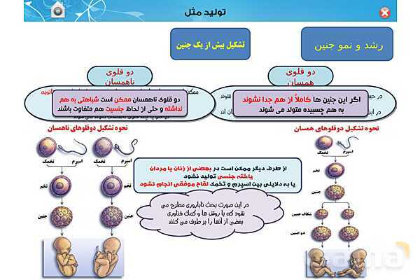 پاورپوینت تدریس زیست یازدهم | فصل 7: تولید مثل (گفتار 3 و 4) - پیش نمایش