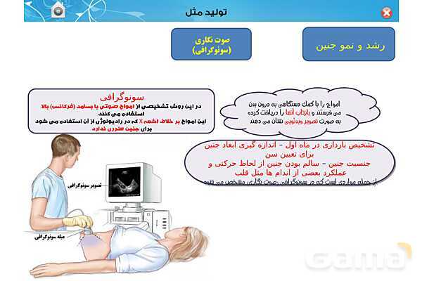 پاورپوینت تدریس زیست یازدهم | فصل 7: تولید مثل (گفتار 3 و 4) - پیش نمایش