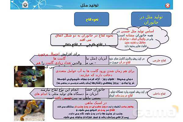 پاورپوینت تدریس زیست یازدهم | فصل 7: تولید مثل (گفتار 3 و 4) - پیش نمایش
