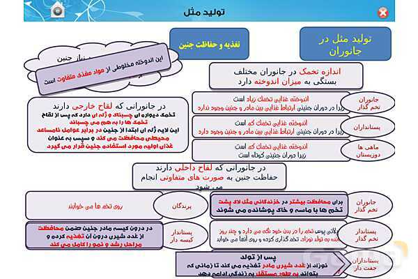 پاورپوینت تدریس زیست یازدهم | فصل 7: تولید مثل (گفتار 3 و 4) - پیش نمایش