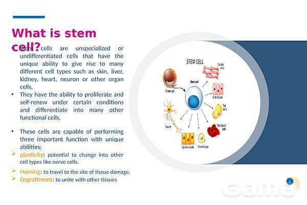 پاورپوینت درمان با سلول‌های بنیادی (Stem cell therapy)- پیش نمایش