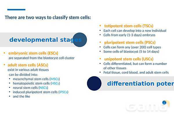 پاورپوینت درمان با سلول‌های بنیادی (Stem cell therapy)- پیش نمایش