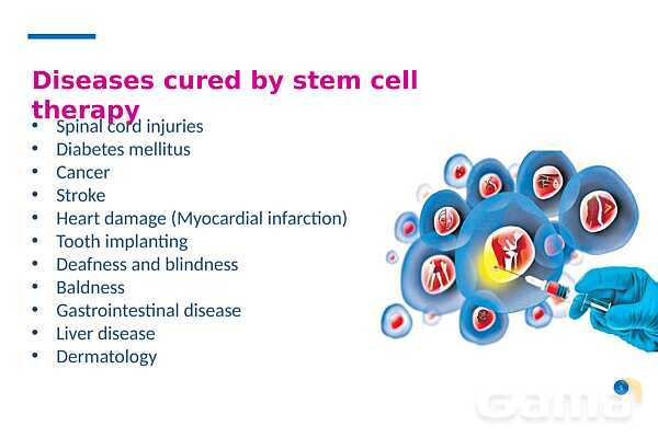 پاورپوینت درمان با سلول‌های بنیادی (Stem cell therapy)- پیش نمایش