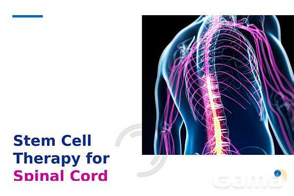 پاورپوینت درمان با سلول‌های بنیادی (Stem cell therapy)- پیش نمایش