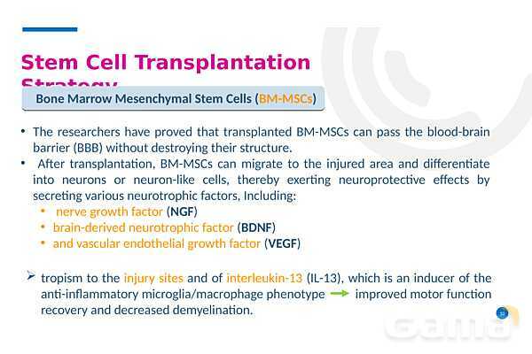 پاورپوینت درمان با سلول‌های بنیادی (Stem cell therapy)- پیش نمایش