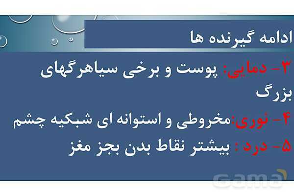 پاورپوینت خلاصه فصل 2 زیست یازدهم؛ حواس- پیش نمایش