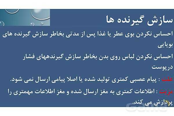 پاورپوینت خلاصه فصل 2 زیست یازدهم؛ حواس- پیش نمایش