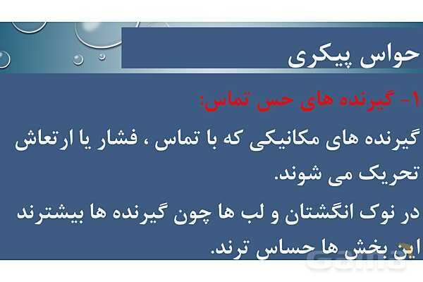 پاورپوینت خلاصه فصل 2 زیست یازدهم؛ حواس- پیش نمایش