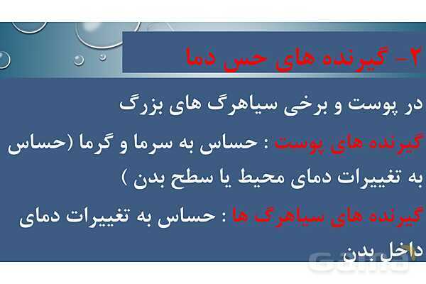 پاورپوینت خلاصه فصل 2 زیست یازدهم؛ حواس- پیش نمایش