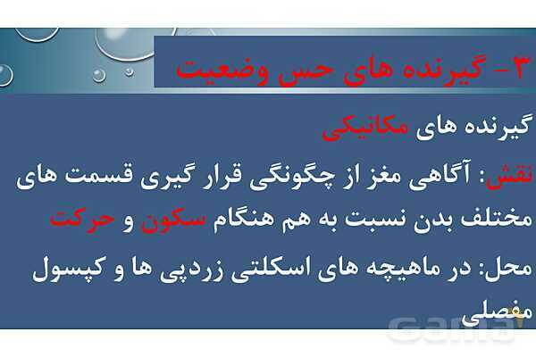 پاورپوینت خلاصه فصل 2 زیست یازدهم؛ حواس- پیش نمایش