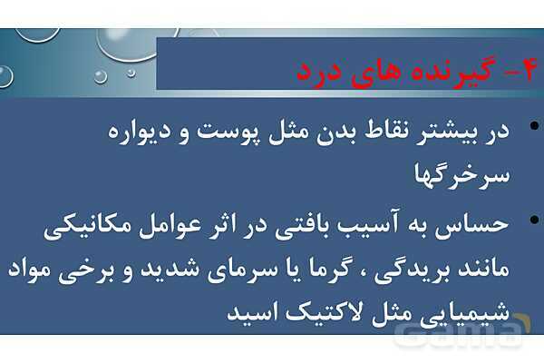 پاورپوینت خلاصه فصل 2 زیست یازدهم؛ حواس- پیش نمایش