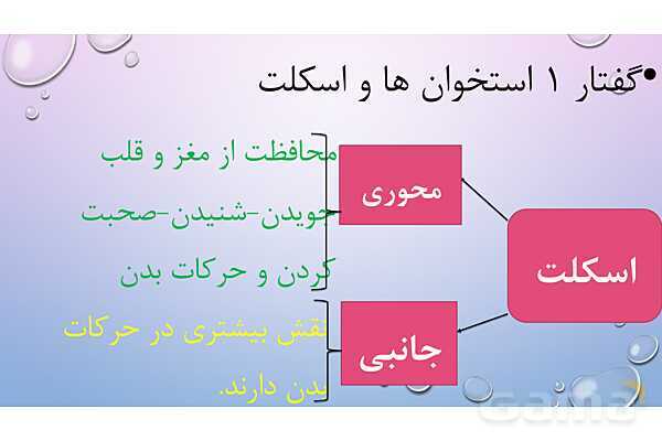 پاورپوینت خلاصه فصل 3 زیست یازدهم؛ دستگاه حرکتی- پیش نمایش