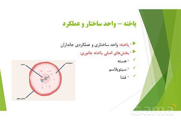 پاور آموزش کنکور محور زیست شناسی دهم | فصل 1 گفتار 3: یاخته و بافت در بدن انسان- پیش نمایش