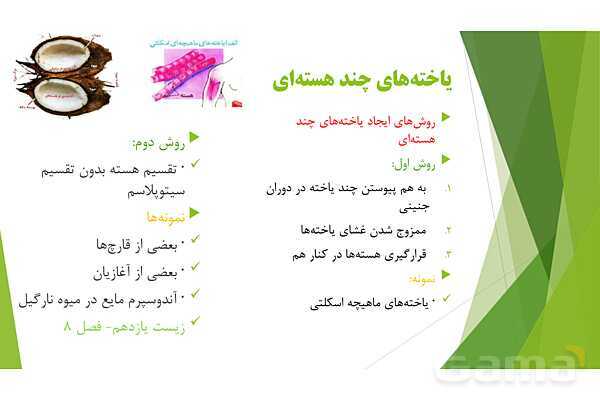 پاور آموزش کنکور محور زیست شناسی دهم | فصل 1 گفتار 3: یاخته و بافت در بدن انسان- پیش نمایش