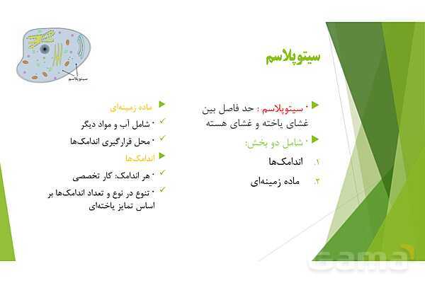 پاور آموزش کنکور محور زیست شناسی دهم | فصل 1 گفتار 3: یاخته و بافت در بدن انسان- پیش نمایش