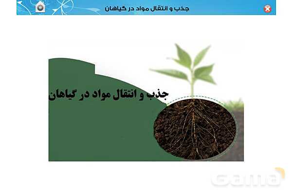 پاورپوینت تدریس زیست دهم تجربی | فصل 7: جذب و انتقال مواد در گیاهان (گفتار 1 تا 3) - پیش نمایش