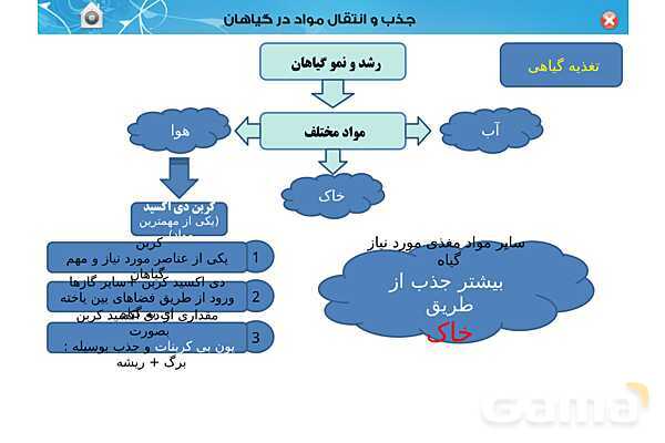 پاورپوینت تدریس زیست دهم تجربی | فصل 7: جذب و انتقال مواد در گیاهان (گفتار 1 تا 3) - پیش نمایش