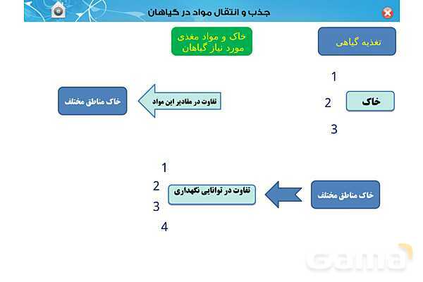 پاورپوینت تدریس زیست دهم تجربی | فصل 7: جذب و انتقال مواد در گیاهان (گفتار 1 تا 3) - پیش نمایش
