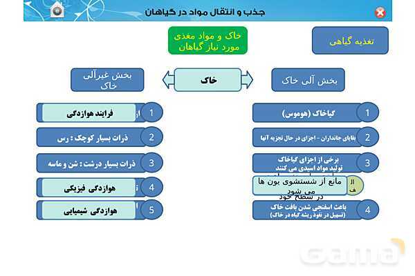 پاورپوینت تدریس زیست دهم تجربی | فصل 7: جذب و انتقال مواد در گیاهان (گفتار 1 تا 3) - پیش نمایش
