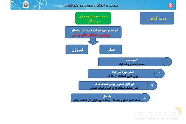 پاورپوینت تدریس زیست دهم تجربی | فصل 7: جذب و انتقال مواد در گیاهان (گفتار 1 تا 3) - پیش نمایش