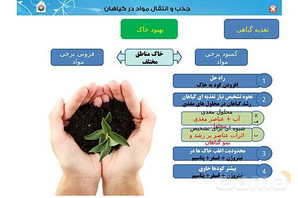 پاورپوینت تدریس زیست دهم تجربی | فصل 7: جذب و انتقال مواد در گیاهان (گفتار 1 تا 3) - پیش نمایش