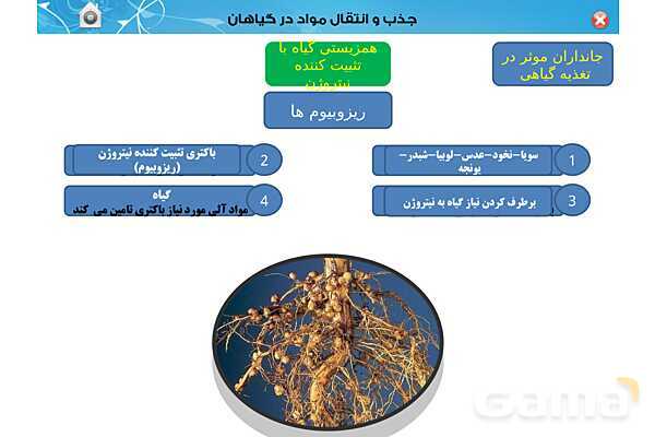 پاورپوینت تدریس زیست دهم تجربی | فصل 7: جذب و انتقال مواد در گیاهان (گفتار 1 تا 3) - پیش نمایش