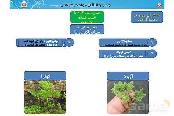 پاورپوینت تدریس زیست دهم تجربی | فصل 7: جذب و انتقال مواد در گیاهان (گفتار 1 تا 3) - پیش نمایش