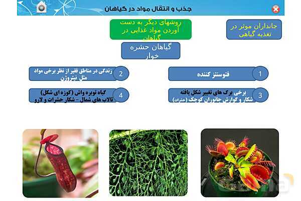 پاورپوینت تدریس زیست دهم تجربی | فصل 7: جذب و انتقال مواد در گیاهان (گفتار 1 تا 3) - پیش نمایش