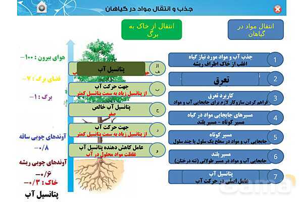 پاورپوینت تدریس زیست دهم تجربی | فصل 7: جذب و انتقال مواد در گیاهان (گفتار 1 تا 3) - پیش نمایش