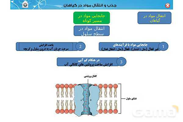 پاورپوینت تدریس زیست دهم تجربی | فصل 7: جذب و انتقال مواد در گیاهان (گفتار 1 تا 3) - پیش نمایش