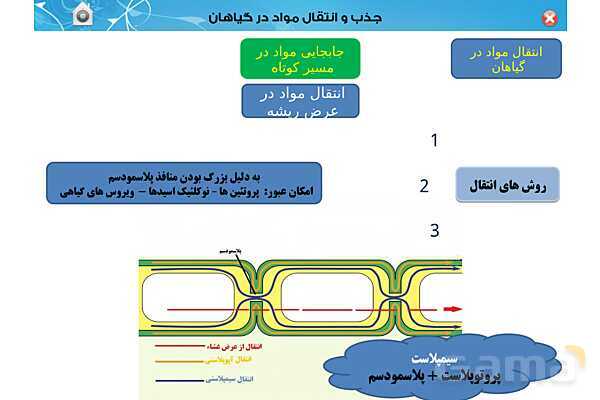 پاورپوینت تدریس زیست دهم تجربی | فصل 7: جذب و انتقال مواد در گیاهان (گفتار 1 تا 3) - پیش نمایش