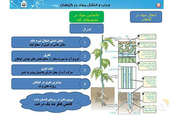 پاورپوینت تدریس زیست دهم تجربی | فصل 7: جذب و انتقال مواد در گیاهان (گفتار 1 تا 3) - پیش نمایش