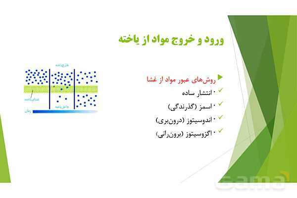 پاور آموزش کنکور محور زیست شناسی دهم | فصل 1 گفتار 3: ورود و خروج مواد از یاخته- پیش نمایش