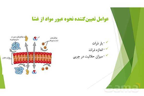 پاور آموزش کنکور محور زیست شناسی دهم | فصل 1 گفتار 3: ورود و خروج مواد از یاخته- پیش نمایش