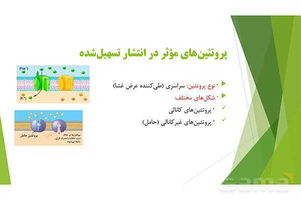 پاور آموزش کنکور محور زیست شناسی دهم | فصل 1 گفتار 3: ورود و خروج مواد از یاخته- پیش نمایش
