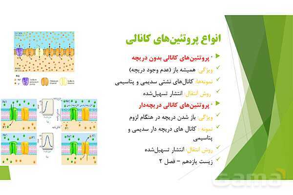پاور آموزش کنکور محور زیست شناسی دهم | فصل 1 گفتار 3: ورود و خروج مواد از یاخته- پیش نمایش