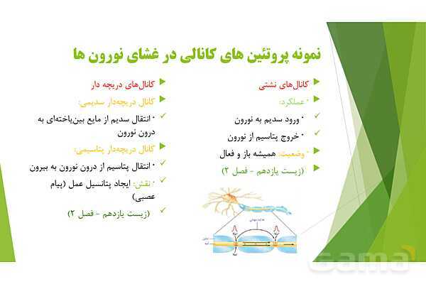 پاور آموزش کنکور محور زیست شناسی دهم | فصل 1 گفتار 3: ورود و خروج مواد از یاخته- پیش نمایش