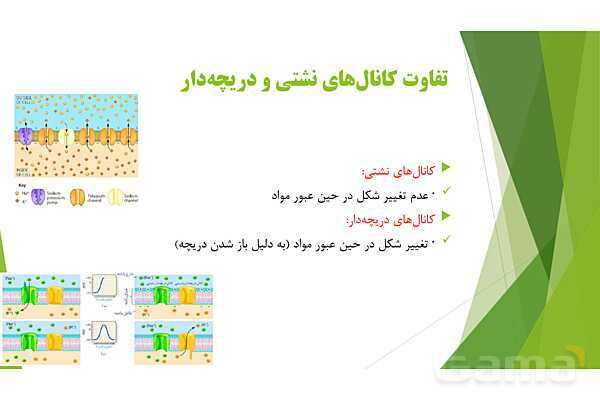 پاور آموزش کنکور محور زیست شناسی دهم | فصل 1 گفتار 3: ورود و خروج مواد از یاخته- پیش نمایش