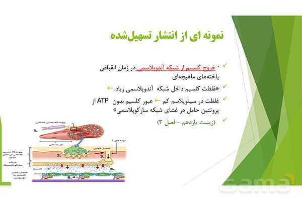 پاور آموزش کنکور محور زیست شناسی دهم | فصل 1 گفتار 3: ورود و خروج مواد از یاخته- پیش نمایش