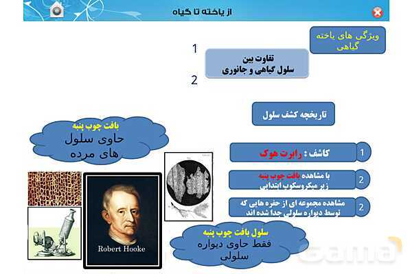 پاورپوینت تدریس زیست دهم تجربی | فصل 6: از یاخته تا گیاه  (گفتار 1 تا 3) - پیش نمایش