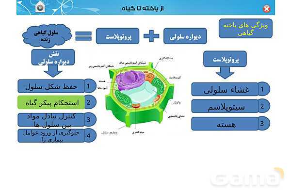 پاورپوینت تدریس زیست دهم تجربی | فصل 6: از یاخته تا گیاه  (گفتار 1 تا 3) - پیش نمایش