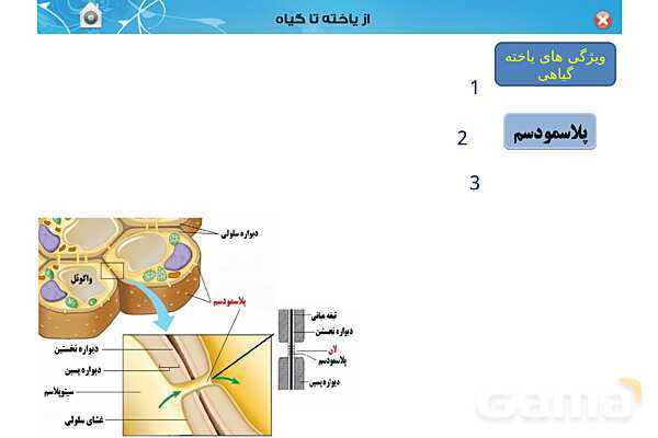 پاورپوینت تدریس زیست دهم تجربی | فصل 6: از یاخته تا گیاه  (گفتار 1 تا 3) - پیش نمایش