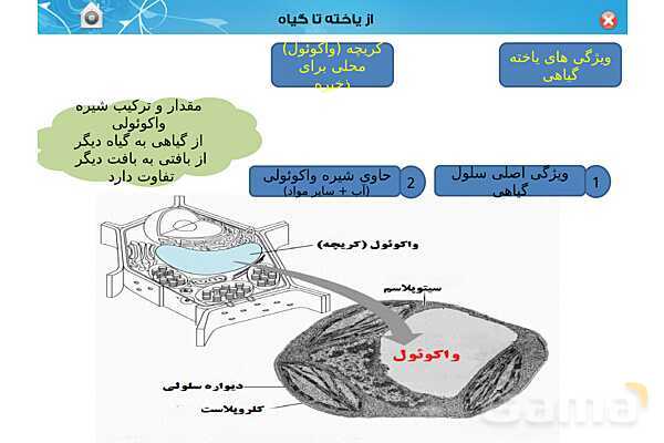 پاورپوینت تدریس زیست دهم تجربی | فصل 6: از یاخته تا گیاه  (گفتار 1 تا 3) - پیش نمایش