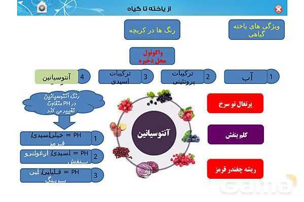 پاورپوینت تدریس زیست دهم تجربی | فصل 6: از یاخته تا گیاه  (گفتار 1 تا 3) - پیش نمایش