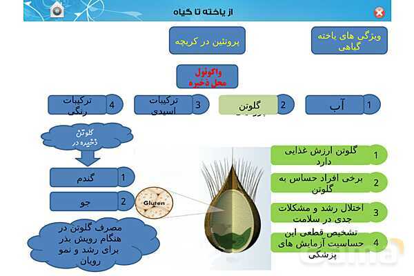 پاورپوینت تدریس زیست دهم تجربی | فصل 6: از یاخته تا گیاه  (گفتار 1 تا 3) - پیش نمایش