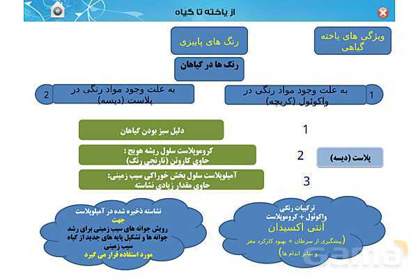 پاورپوینت تدریس زیست دهم تجربی | فصل 6: از یاخته تا گیاه  (گفتار 1 تا 3) - پیش نمایش