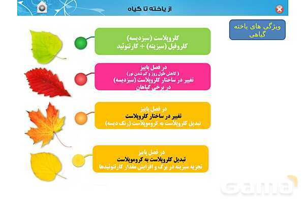 پاورپوینت تدریس زیست دهم تجربی | فصل 6: از یاخته تا گیاه  (گفتار 1 تا 3) - پیش نمایش